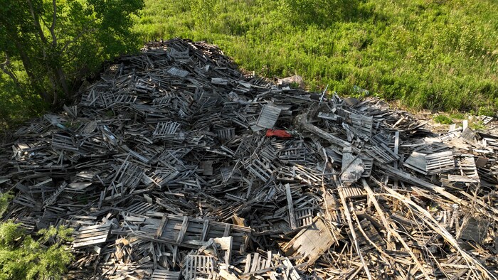 Des palettes de bois sont empilées sur un terrain vague.