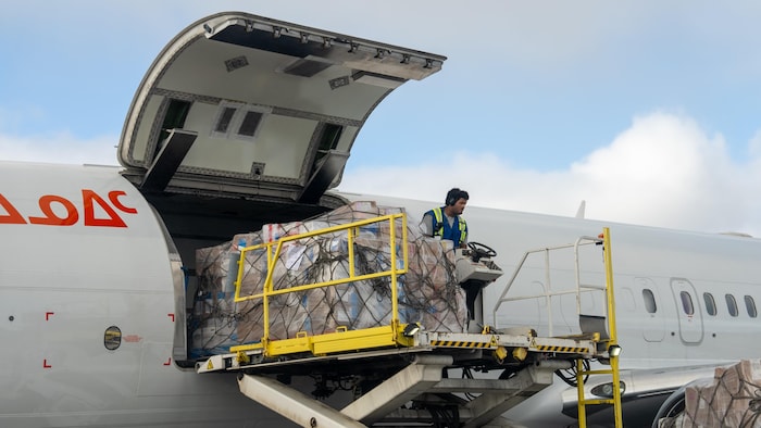 Un homme vide une palette d'un avion.