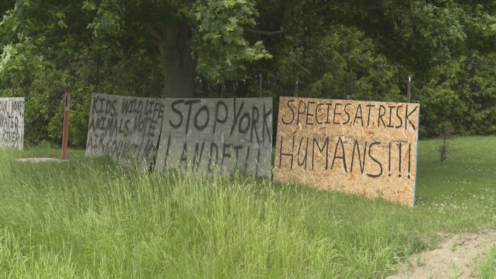 Des pancartes en contreplaqué exhortent le promoteur York1 à abandonner son projet.