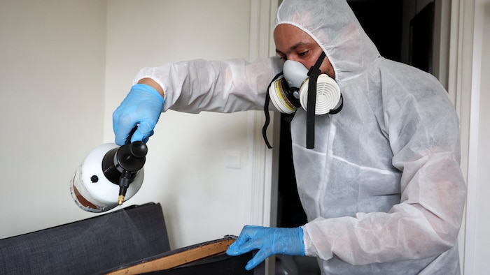 Un exterminateur pulvérise un insecticide sur un divan-lit à L'Haÿ-les-Roses, près de Paris, le 29 septembre 2023.