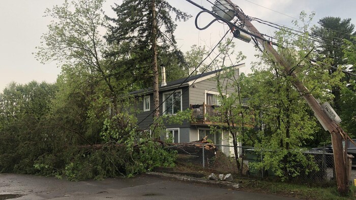 Un poteau électrique et des arbres cassés près d'une maison en été