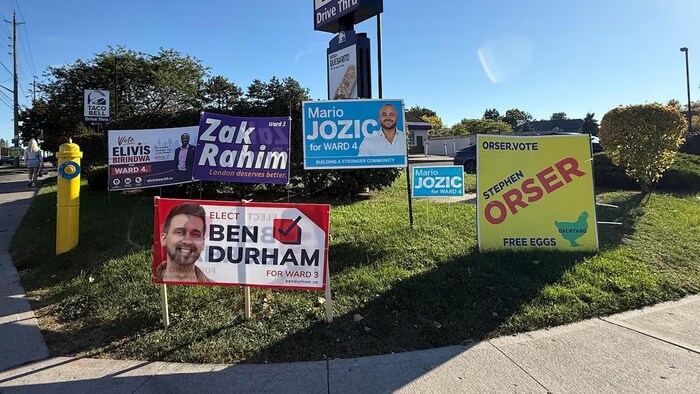 Plusieurs affiches de candidats aux élections municipales de London sont installées sur un terrain gazonné, à proximité d'un restaurant Taco Bell.