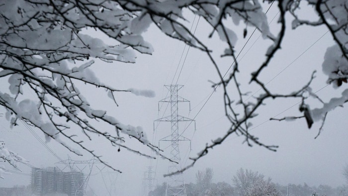 Des branches chargées de neige laissent entrevoir les lignes d'Hydro-Québec.