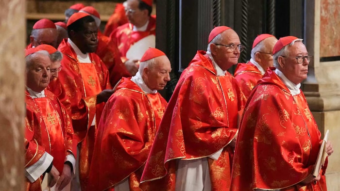 Les cardinaux en habits rouges