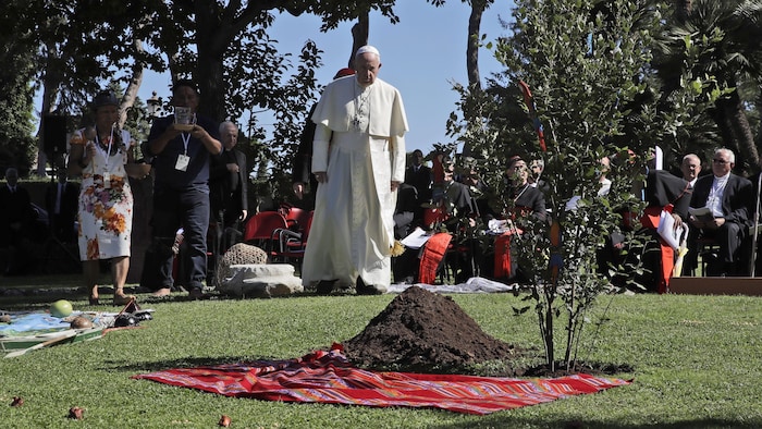 Le pape François participe à une cérémonie de plantation d'arbre dans les jardins du Vatican.