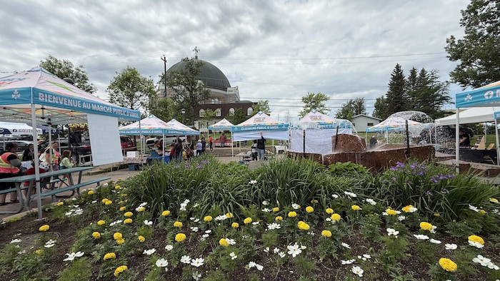 Le décor enchanteur du parc de la Cathédrale accueille le Marché public d'Amos.
