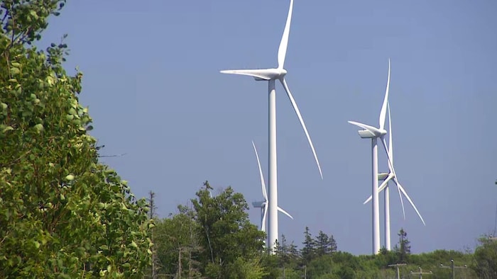 Quatre grandes éoliennes dans un secteur boisé.
