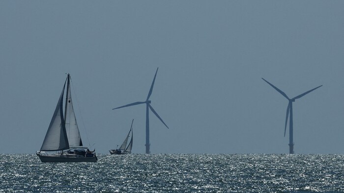 Deux éoliennes en mer se distinguent dans le lointain et, plus à l'avant, deux voiliers voguent sur les flots.