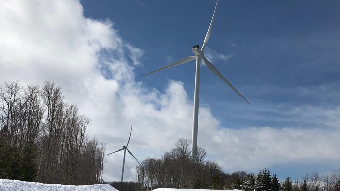 Deux éoliennes du parc éolien Nicolas-Rioux.