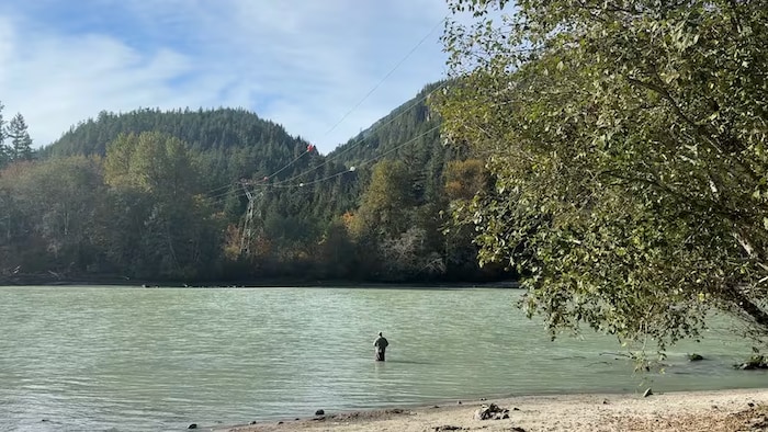 Le fleuve Squamish vu d'un parc.