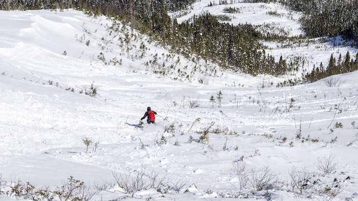 Un skieur en hors-piste dans une pente enneigée.