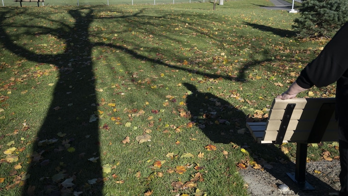 La silhouette de Carmen sur l'herbe du parc, parsemée de feuilles.