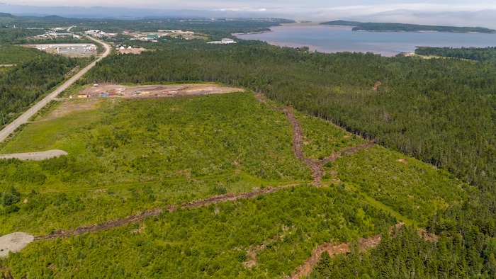 Des terres boisées à côté d'une route et devant un lac.