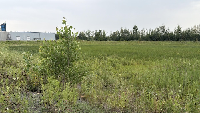 Un bassin de rétention dans le parc industriel Germain-Massicotte. 