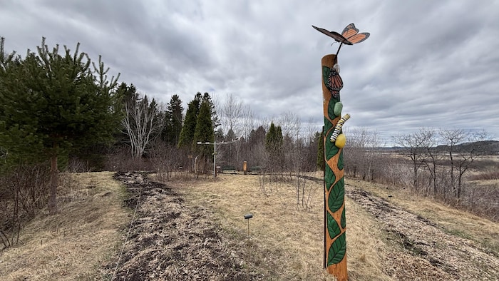 Cette vue en contre-plongée montre un poteau en bois sculpté illustrant le cycle du monarque. Il surplombe un sentier de paillis serpentant à travers un champ herbeux. En arrière-plan, une forêt s'étend sous un ciel nuageux et gris.