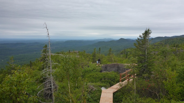 Un sentier de bois au sommet d'une montagne.