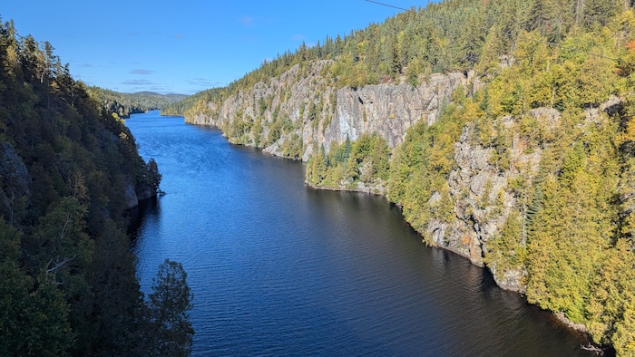 Vue à partir de la passerelle suspendue du parc national d'Aiguebelle.