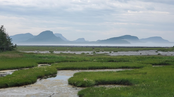 Le parc national du Bic, les montagnes au loin et le fleuve devant, dans la brume. 