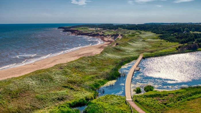 Des dunes de sable sur la côte nord de l'Île-du-Prince-Édouard.
