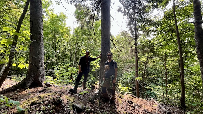 Les deux personnes regardent vers la caméra dans la forêt.