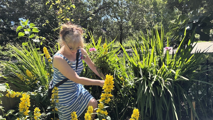 Une femme travaille dans un jardin.