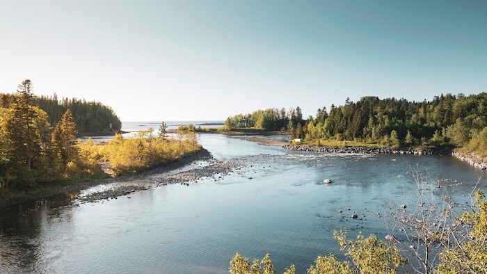 Le parc régional de la rivière Mitis veut offrir de l’hébergement ...