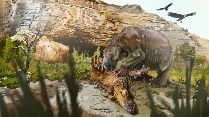 Illustration artistique d’un Mylodon darwinii mangeant de la viande.