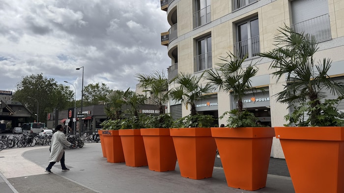 De gigantesques pots de fleurs devant la façade du commerce.