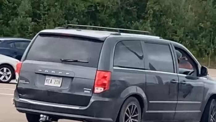 a dodge caravan gray.