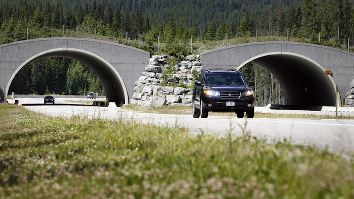 Une structure au-dessus de l'autoroute.