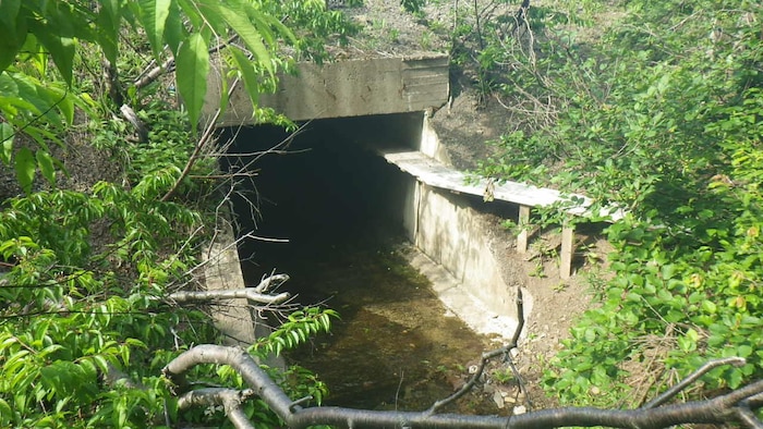 Un ponceau en été avec une passerelle en bois sur la droite. 