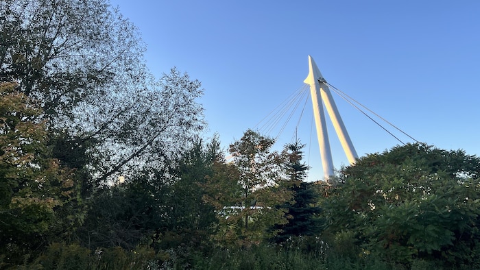 Les mâts blancs de pont à haubans s'élèvent au-dessus d'arbres verdoyants près d'un sentier sous un ciel bleu.