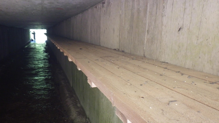 Un passage en bois dans un tunnel. 