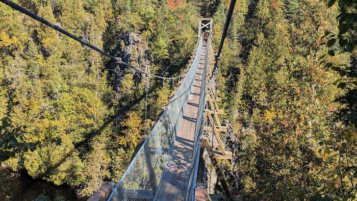 Une passerelle est suspendue au dessus d'un lac.