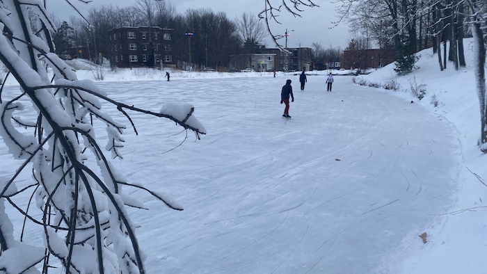 Des personnes patinent sur la patinoire du Domaine Howard à Sherbrooke.