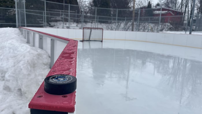 Une rondelle est placée sur une bande de patinoire.