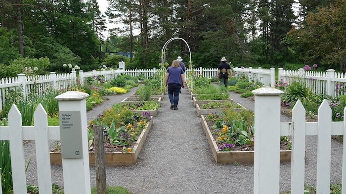 Le Potager d'Elsie photographie avec Patricia Gallant de dos à l'intérieur.