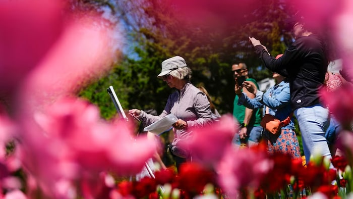 Patti May peint des tulipes au festival à Ottawa.