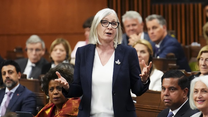 Patty Hajdu parle en Chambre.