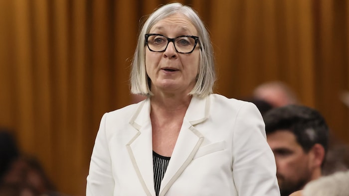 Patty Hajdu, answers a question in the House of Commons. vulnerable seniors deprived benefits, according