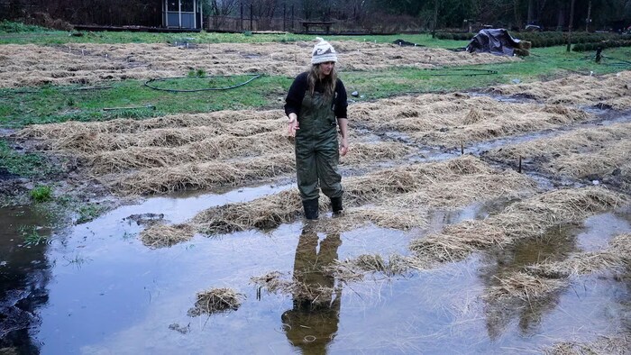 Paula de Jong dans un champ inondé d'eau.
