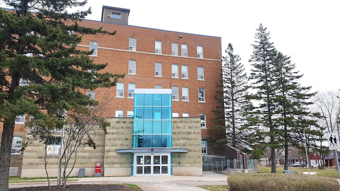 Plus d’un tiers des étudiants universitaires dans les Maritimes ...