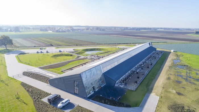It could cost the end of the supply management star-news.press/wp Poultry farm, external courtyard and many windows.
