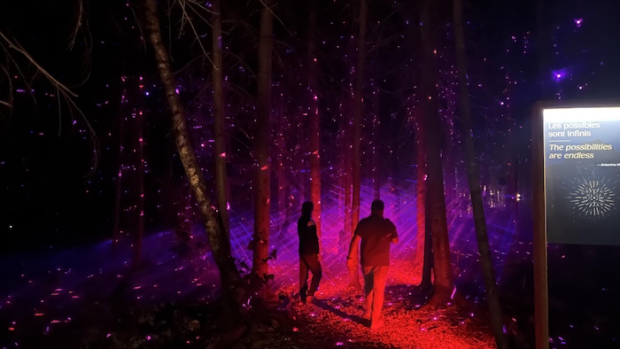 Des visiteurs qui marchent dans un sentier forestier semblent entourés d'étoiles.