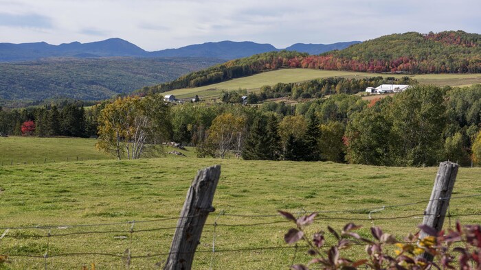 Des champs en montagnes.