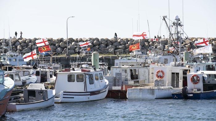 Des bateaux de pêche au quai, la plupart ayant hissé un drapeau d'une Nation autochtone.
