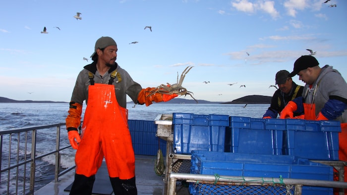 De la pêche aux crabes.