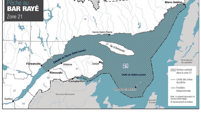 La pêche au bar rayé populaire à Sept-Îles | Radio-Canada