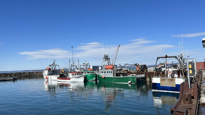 Des bateaux de pêche amarrés à la marina de Sept-Îles.