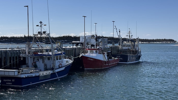 Pêcheries Shipek : 20 ans d’histoire en Minganie | Radio-Canada
